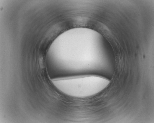 X0000067000224200603241053