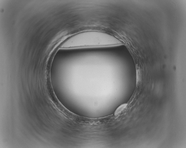 X0000067000243200603241052