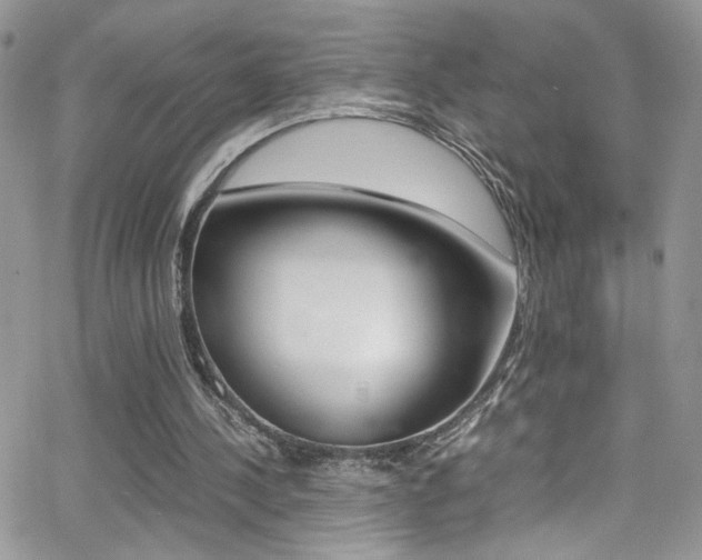 X0000067000244200603241052