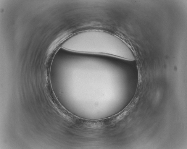 X0000067000245200603241052