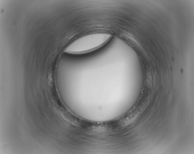 X0000067000259200603241052