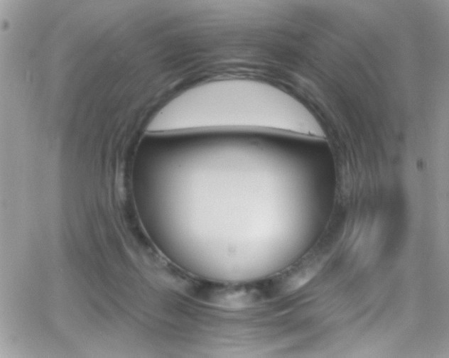 X0000067000267200603241053