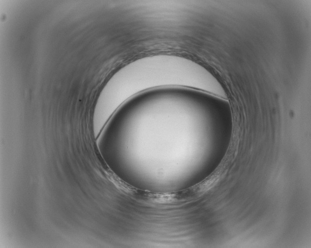 X0000067000288200603241053