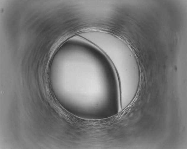 X0000067000289200603241052