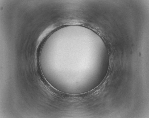 X0000067000296200603241052
