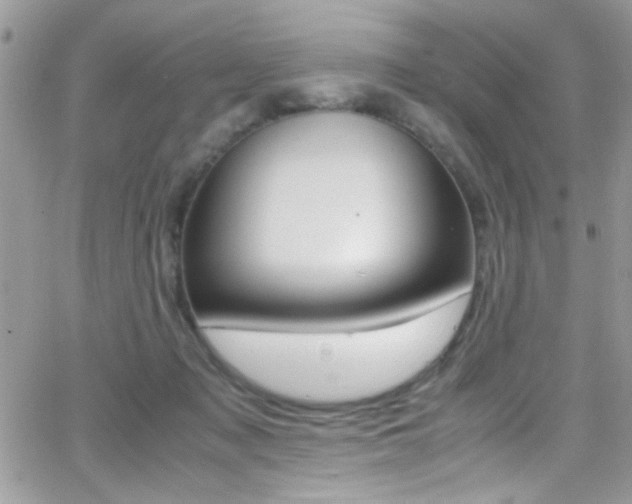X0000067000317200603241052