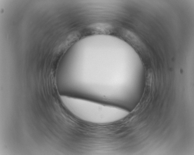 X0000067000318200603241052