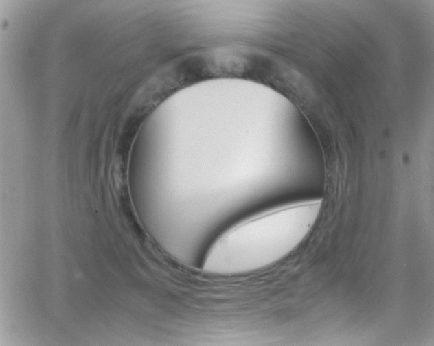 X0000067000323200603241052
