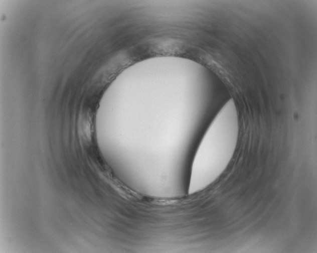 X0000067000334200603241051