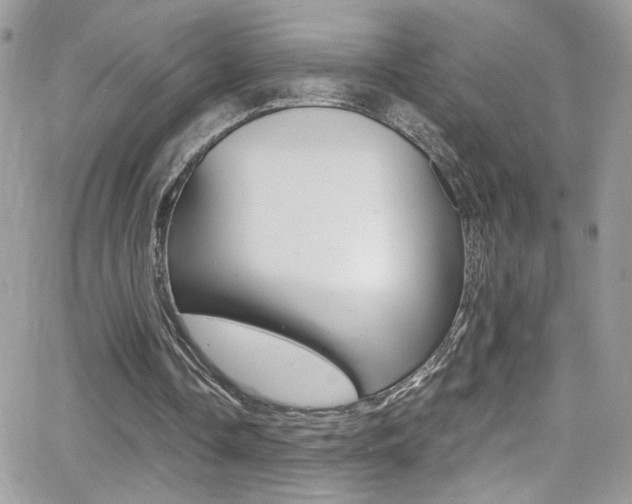 X0000067000338200603241051