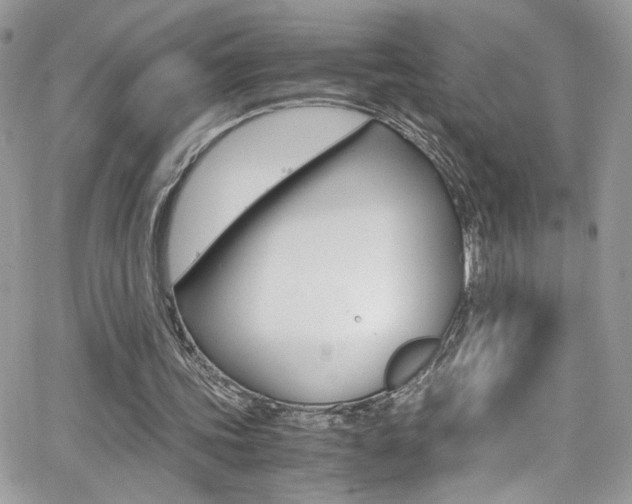 X0000067000339200603241051