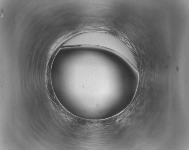 X0000067000340200603241051