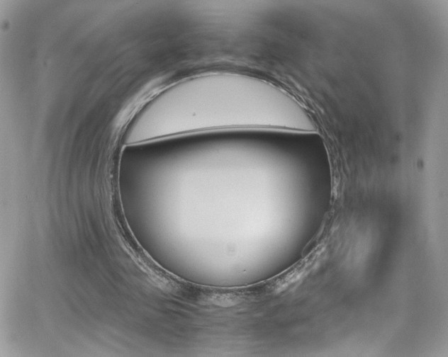 X0000067000341200603241051