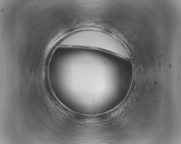 X0000067000344200603241051