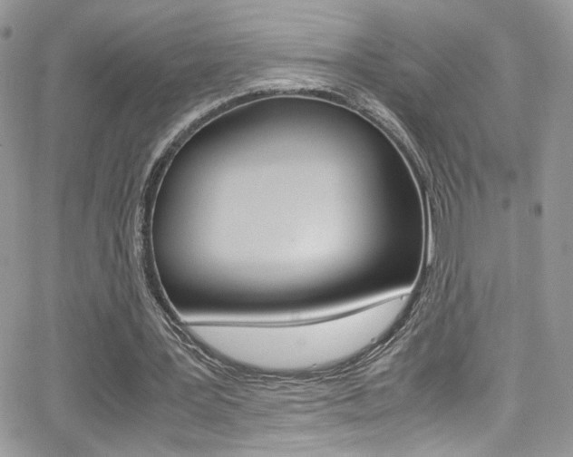 X0000067000387200603241051