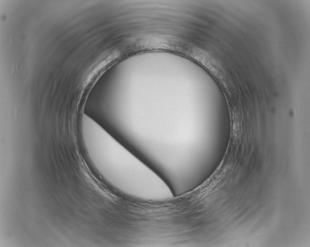 X0000067000390200603241051