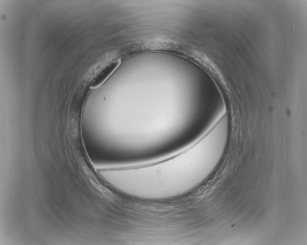 X0000067000393200603241050