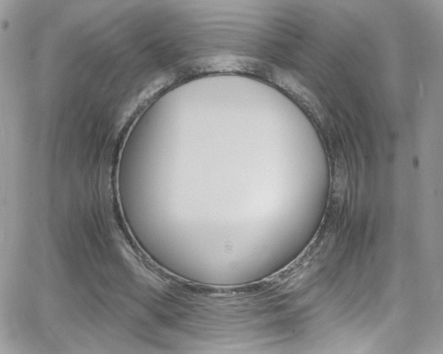 X0000067000394200603241050