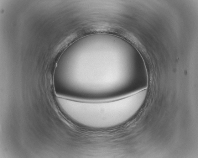 X0000067000397200603241050