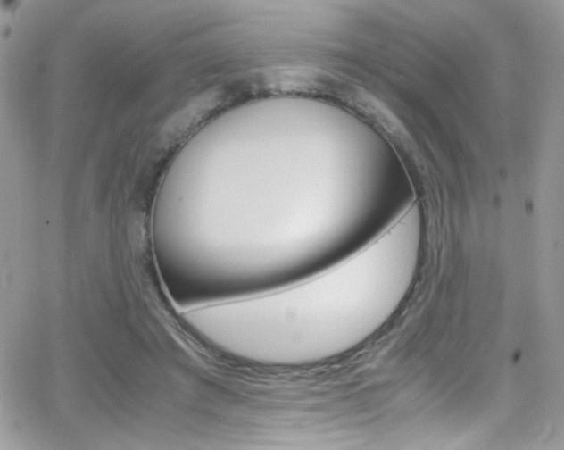 X0000067000401200603241050
