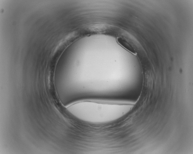 X0000067000404200603241050