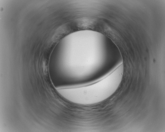 X0000067000420200603241050