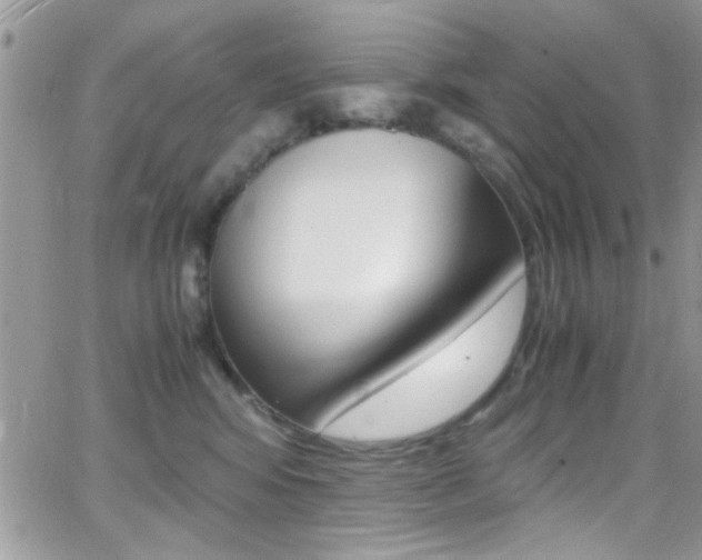 X0000067000424200603241050