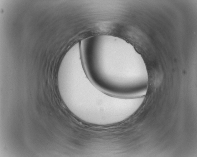 X0000067000425200603241050