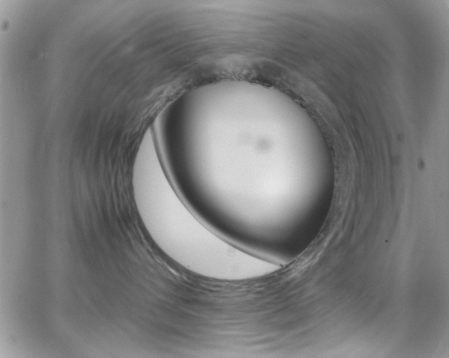 X0000067000432200603241050