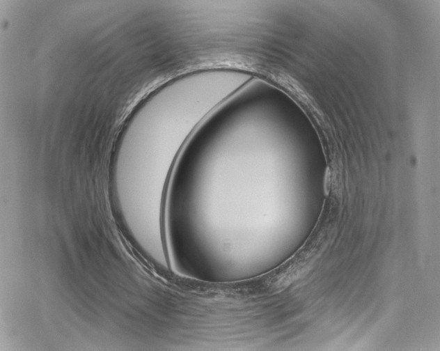 X0000067000434200603241049