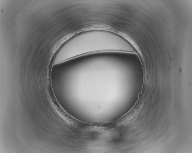 X0000067000437200603241049