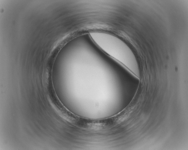 X0000067000448200603241049