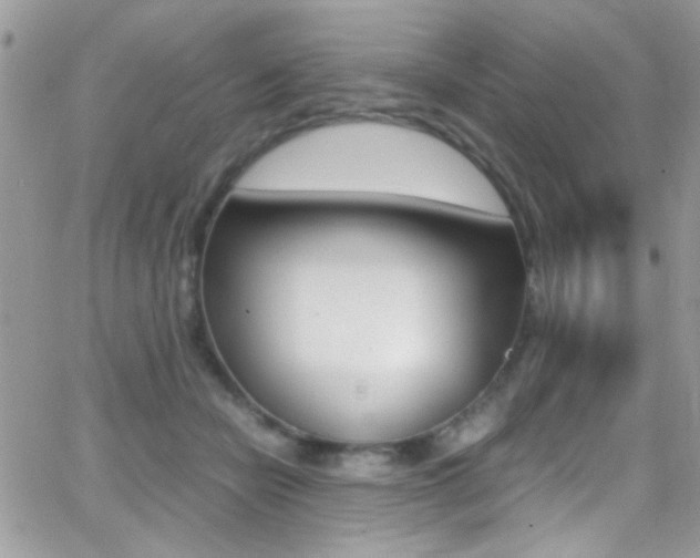 X0000067000462200603241050