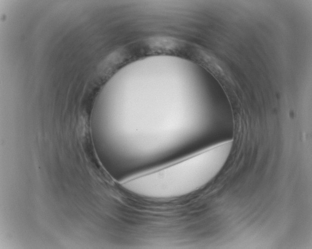 X0000067000463200603241050