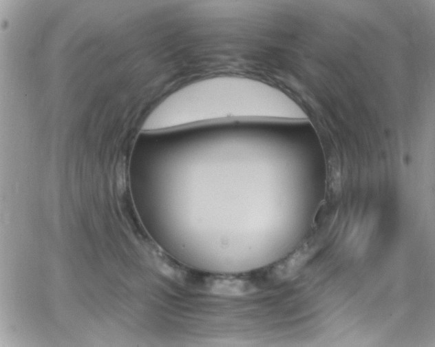 X0000067000471200603241050