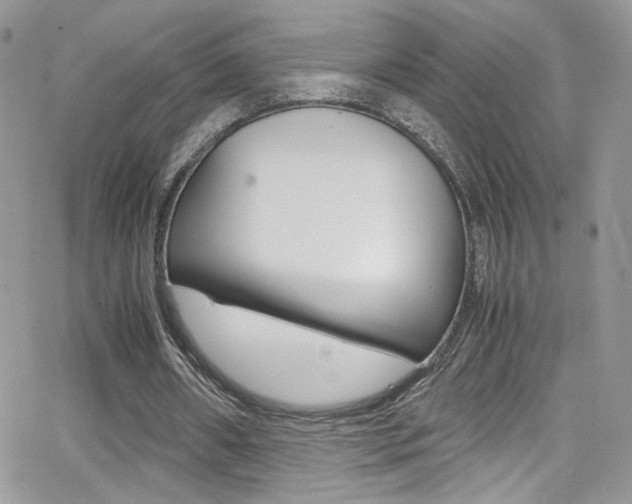 X0000067000482200603241049