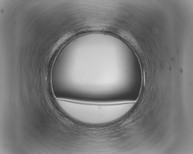 X0000067000483200603241049