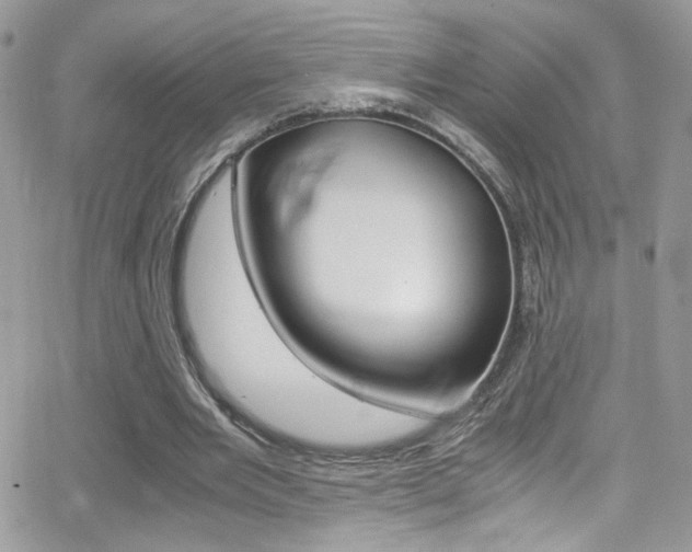 X0000067000485200603241049