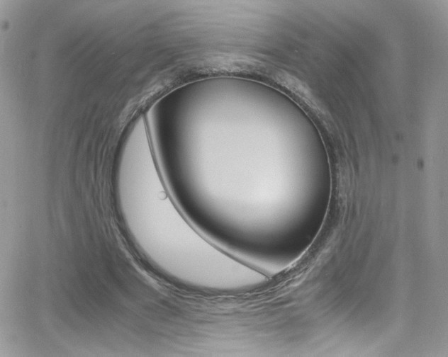 X0000067000489200603241049
