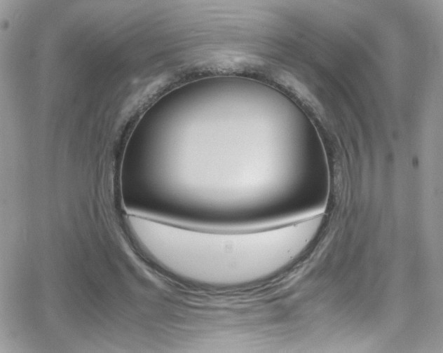 X0000067000493200603241049
