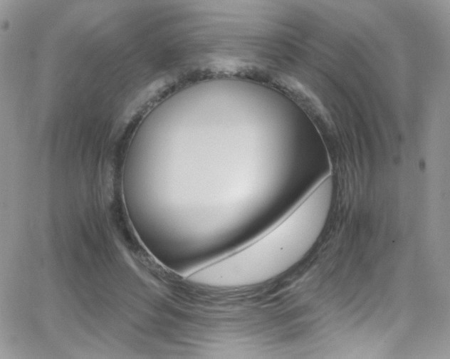 X0000067000496200603241049