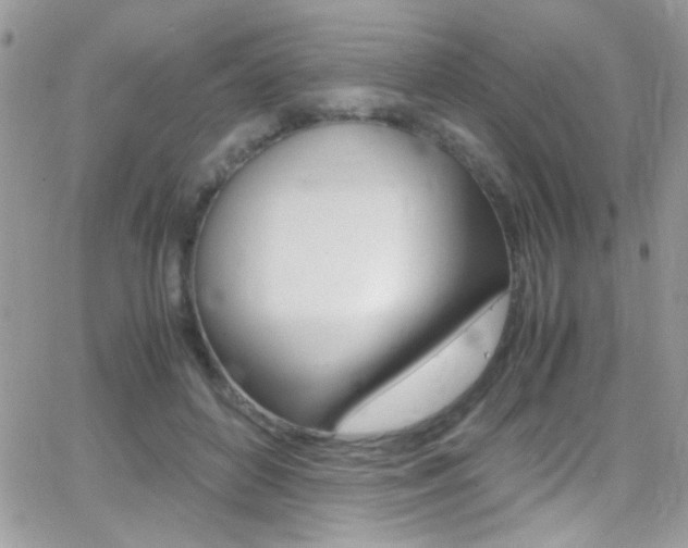 X0000067000504200603241049