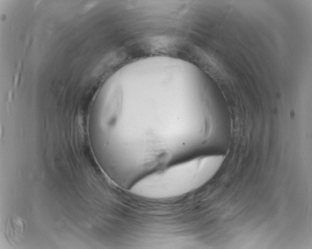 X0000067000506200603241049