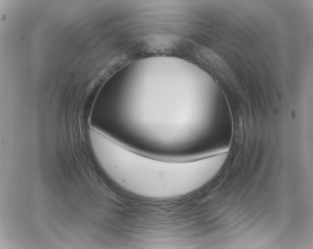 X0000067000508200603241049