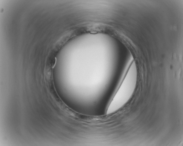 X0000067000513200603241049