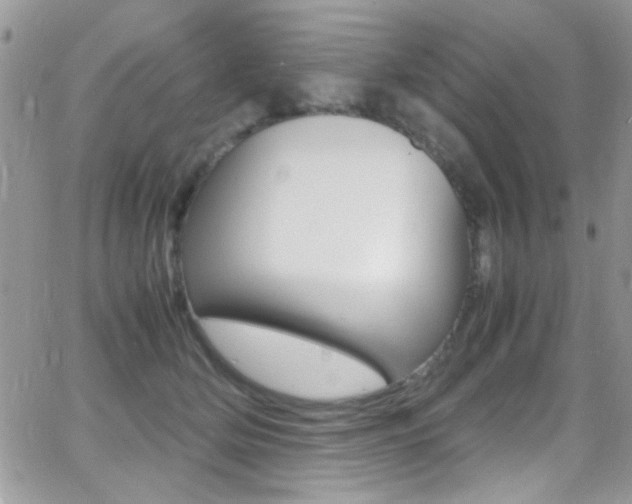 X0000067000514200603241048
