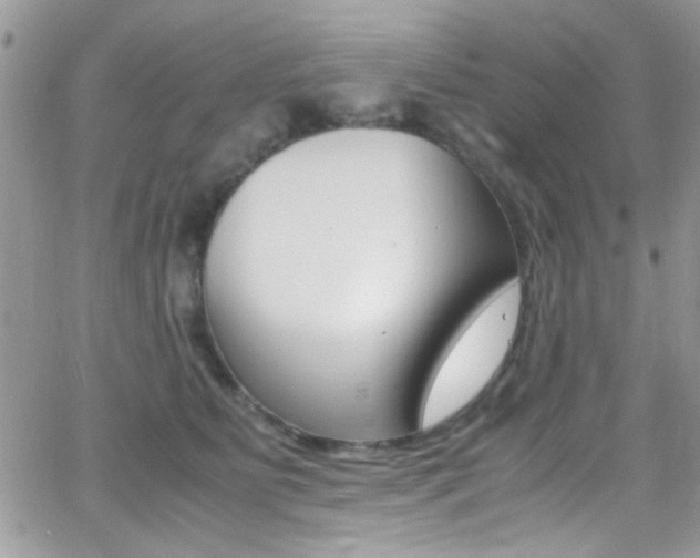 X0000067000515200603241048