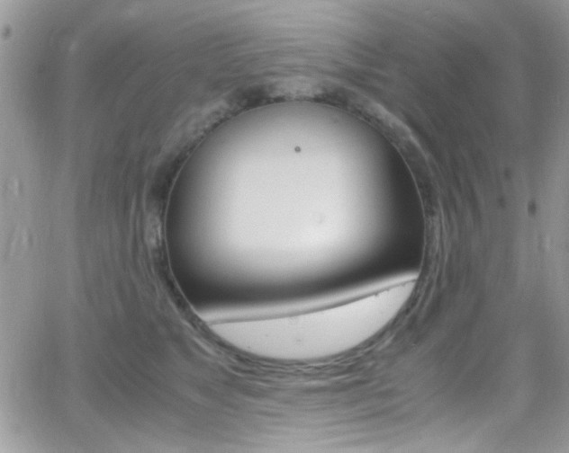 X0000067000517200603241048