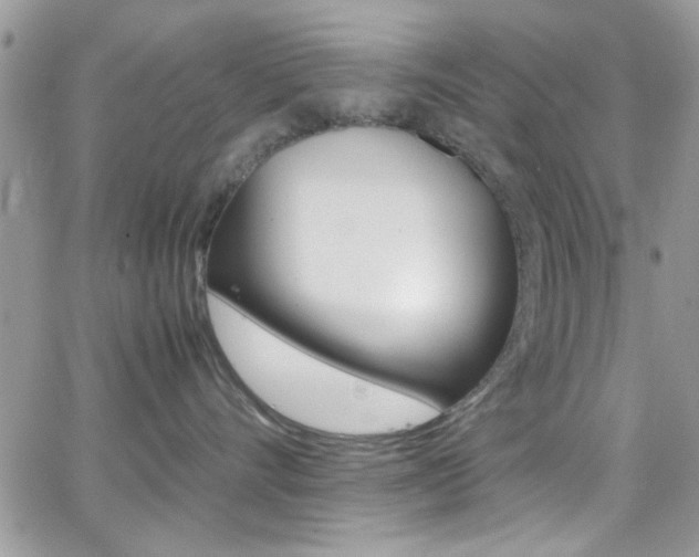 X0000067000528200603241048