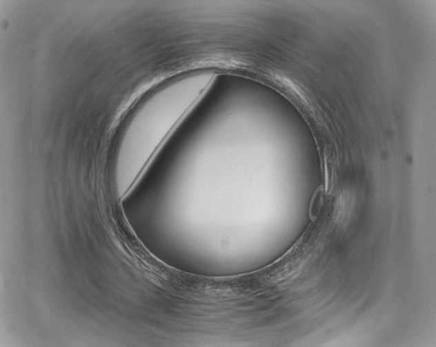 X0000067000531200603241048
